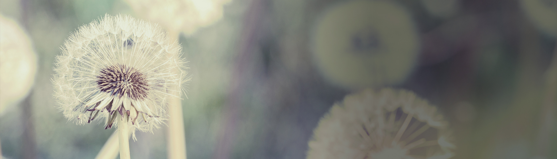 Slide background